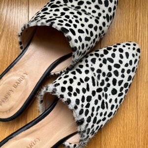 Poppy Barley Market Mule